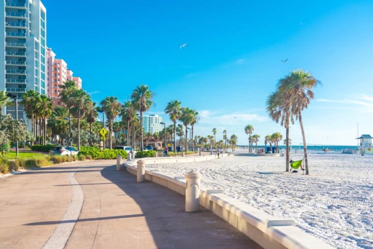 Things To Do In Clearwater Beach Walk 768x512